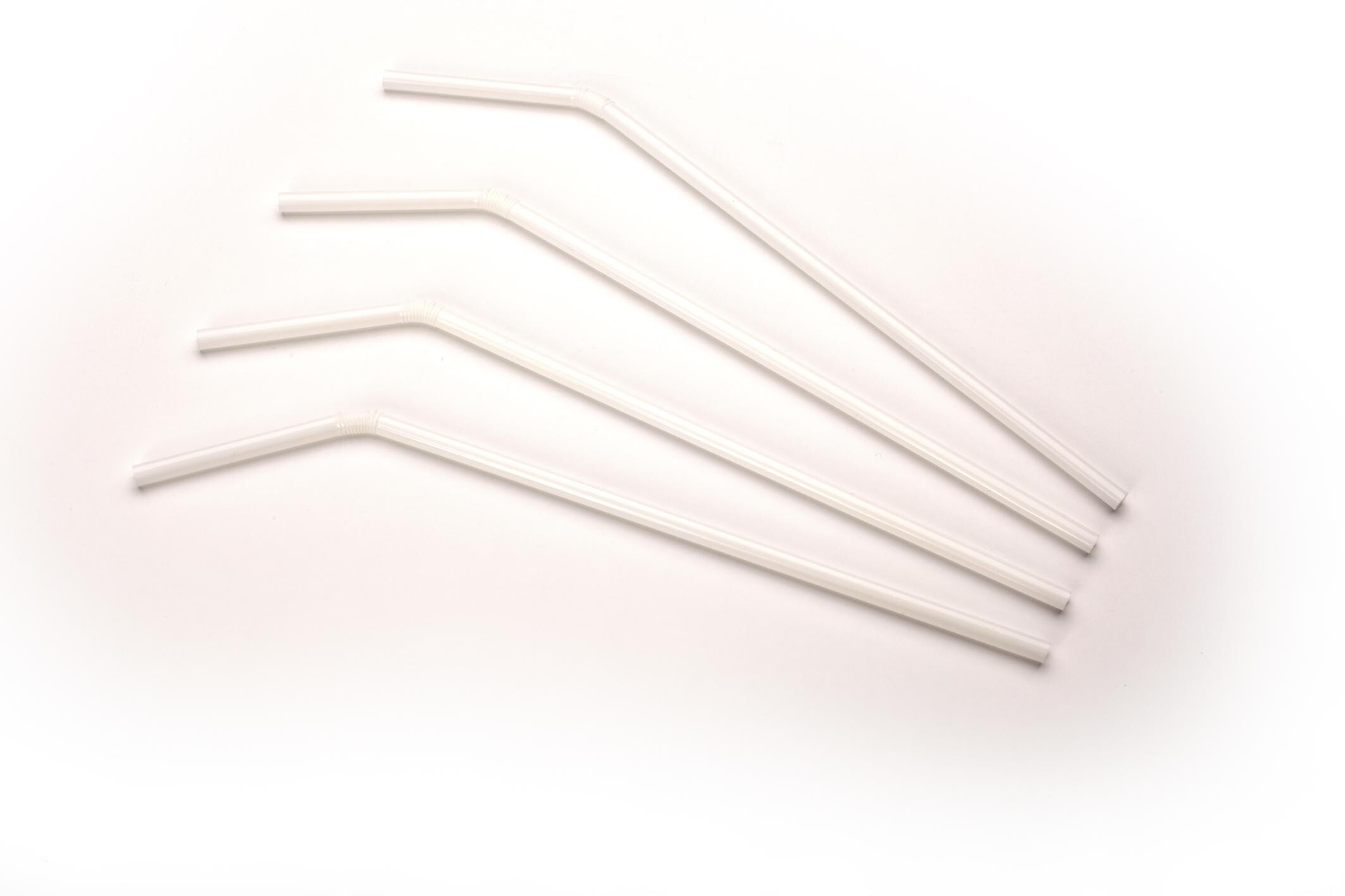 Rietjes wit plooibaar 24cm 250st