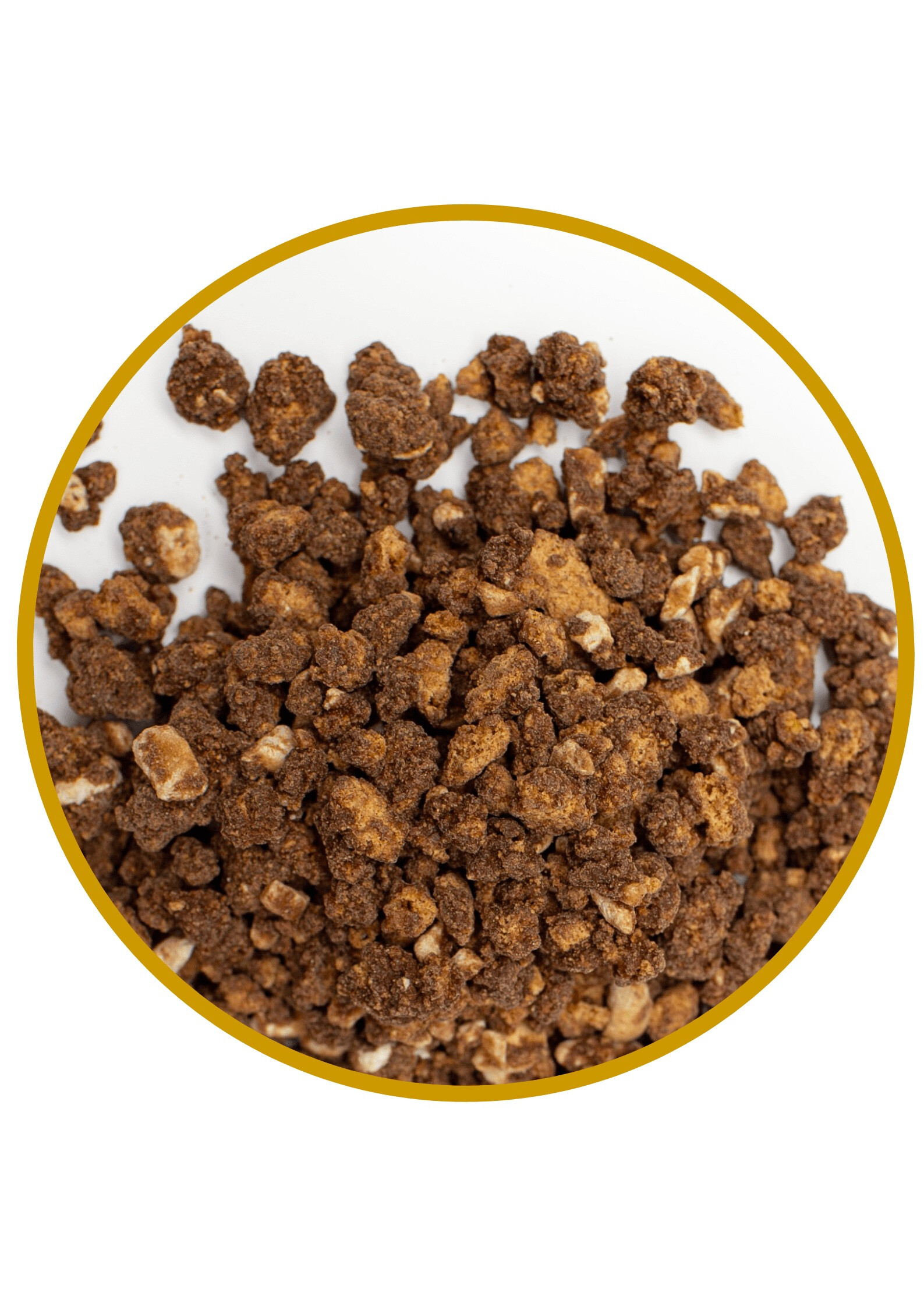 Jorda Speculoos Chocolade & Hazelnoot Crunch 400gr