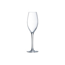 Glas Segura Viudas 6x1st