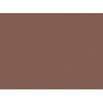 Placemats café 35x45cm 250st duni 151836