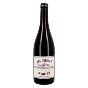 Coteaux Bourguignons Les Cerises d'Antan 75cl 2018 Jean-Paul Dubost