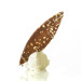 Didess Petale chocolat hazelnoot 80st