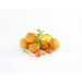 Gastronello Ambachtelijke Zalm Dille Kroketjes 60x20gr Diepvries
