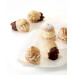 Didess biscuit vanille 530gr Diepvries