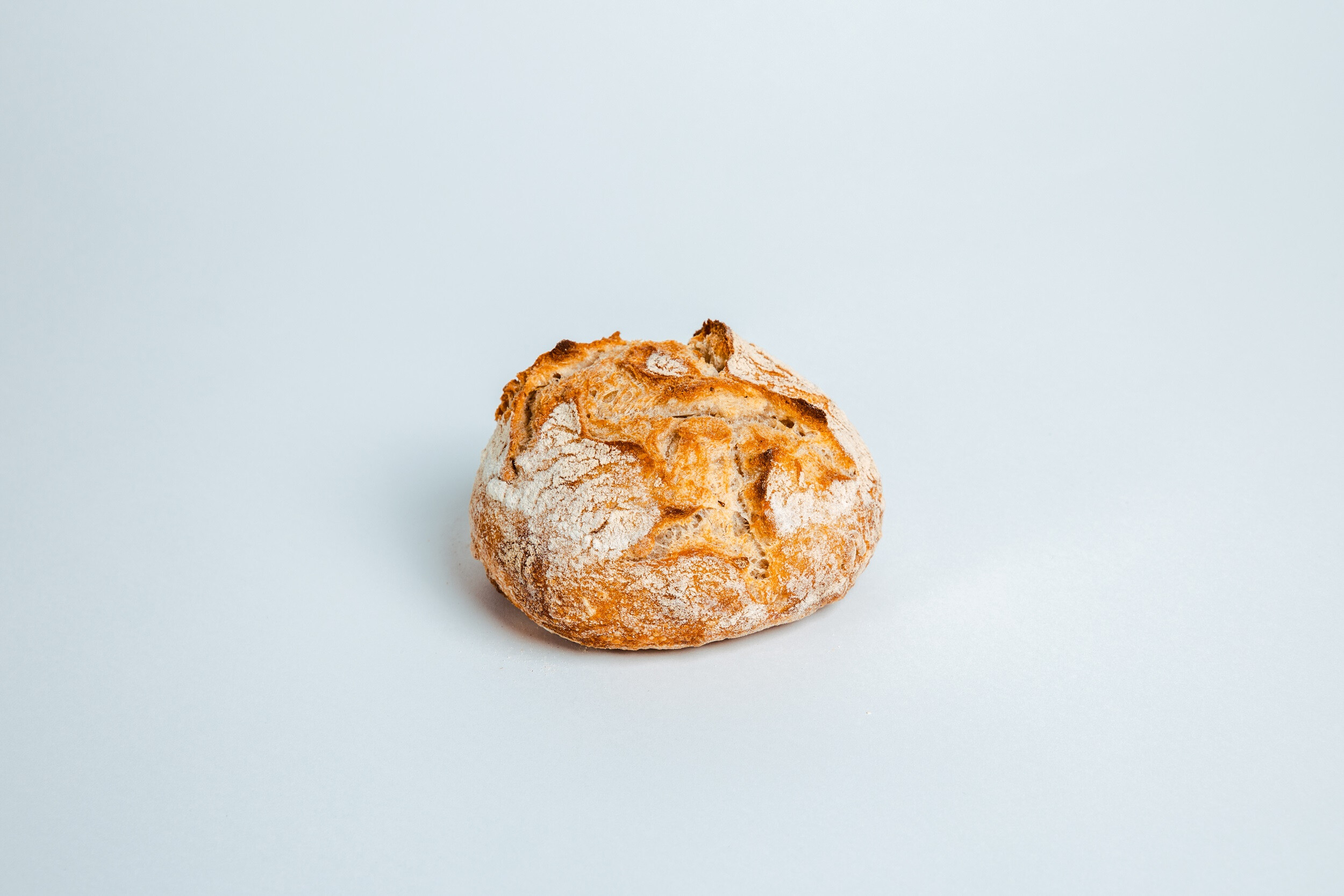 Ecopain d' Ignace Petit Pain Boules de Table épautrré tournesol au Levain 20x170gr Surgelé