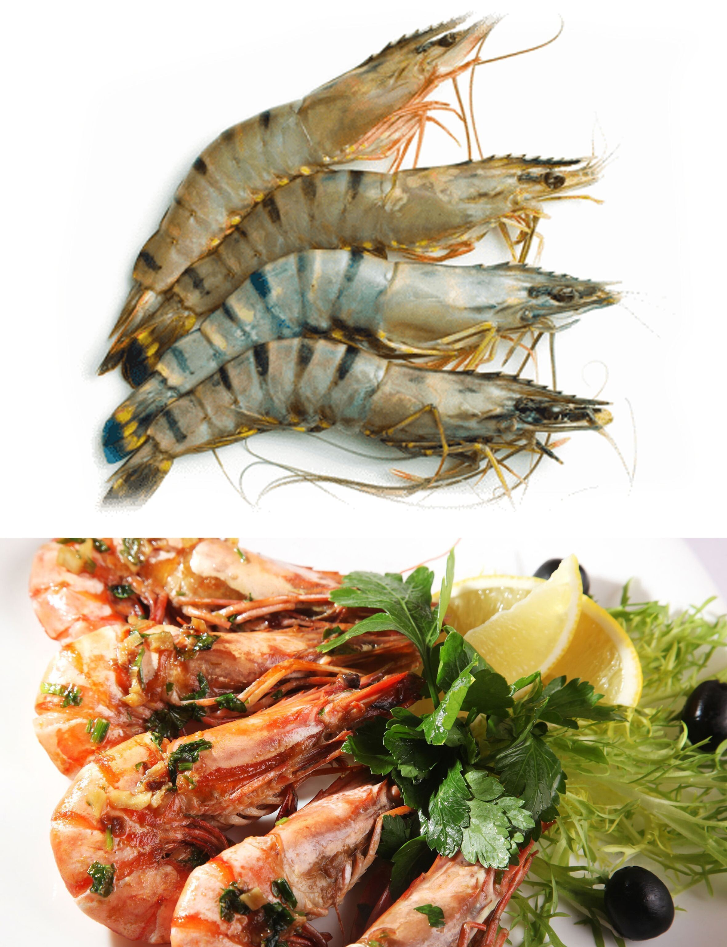 Gamba 6/8 1x1kg Blacktiger HOSO crevettes géantes avec tête