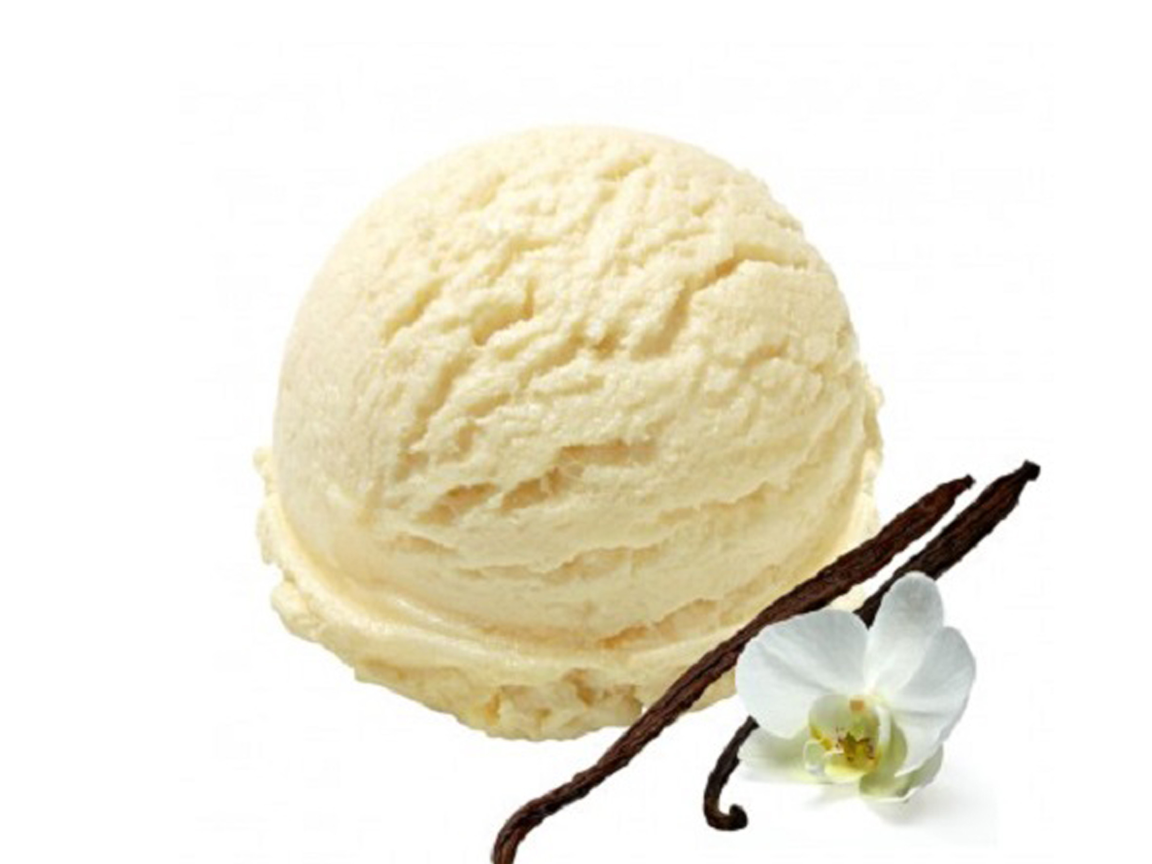 Verdonck Tradition Creme Glacée vanille 5L