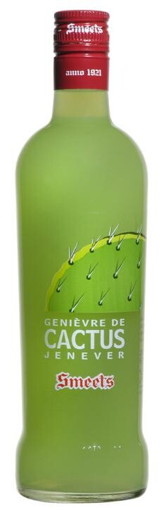 Smeets genievre de Cactus 70cl 20%