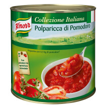 Knorr polparicca 3l collezione italiana