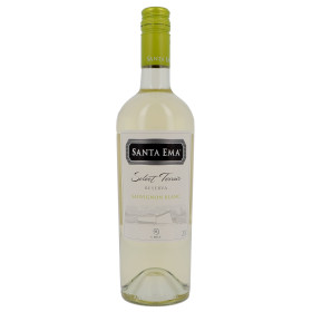 Santa Ema sauvignon blanc 75cl 2021 Maipo Valley - Vin Chilien