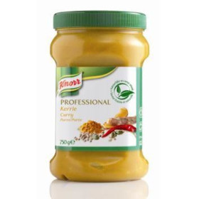 Knorr puree d'épices curry 750gr Professional