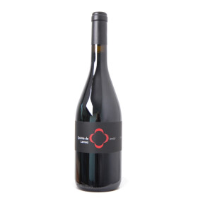 Quinta de Lemos Jaen Tinto 75cl 2010 DAO rouge Portugal