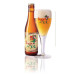 Brugse Zot blonde 6% 24x33cl caisse
