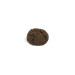 Poppies Biscuits mini cookies chocolat 142pc 1kg