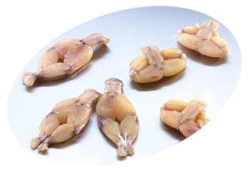 Java Frog Legs 8/12 Indonesia 1kg Frozen