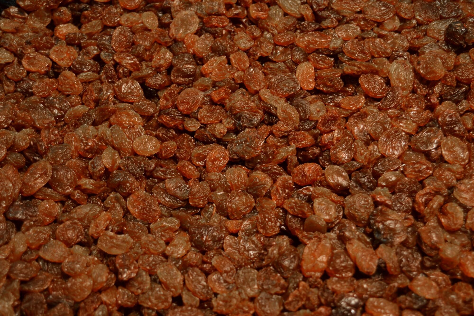 Dark dried raisins 12.5kg Sultana - Turkije