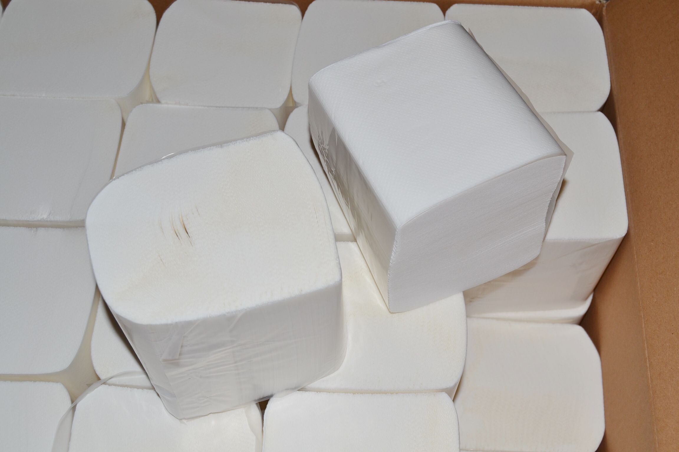 Toiletpapier Bulkpack 11x19.5cm Tissue 2 laags Wit 36x250 vellen 