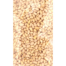 Pine nut kernels Pinus Siberica 25kg 