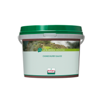 Verstegen saus Chimichurri 2.7L emmer