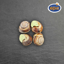 Epic  prepared snails in butter N° 6 quick frozen 48pcs