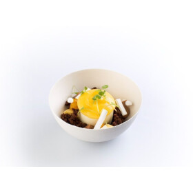 Bagastro Bowl Round 30cl 40pcs Sier Disposables 57040