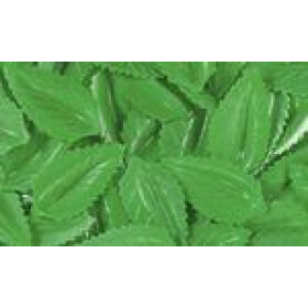 Hostie mint leaves green 1000pc decoration