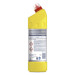 Glorix Hygiene Expert Pro Formula 1.25L Toilet Cleaner