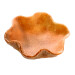 Pidy Mini Tulip Bisquits 5.5cm 120pcs