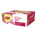 Lipton tea rosehip 100pcs Professional