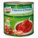 Knorr Polparicca Tomato Sauce 3L Collezione Italiana 