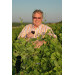 Fleur Lagrange Chardonnay 75cl Pays d'Oc - IGP (Wijnen)