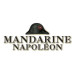 Logo Mandarine Napoleon