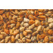 Musselmeat Cooked IQF 100-200 Chili 1kg Frozen