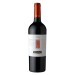 Santa Ema 60/40 Cabernet Sauvignon/Merlot 75cl 2007 Barrel Select - Chilean Wine